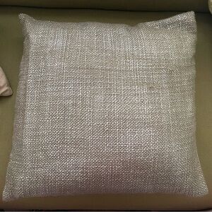 West Elm Metallic Brushed Weave Pillow Cover and Insert